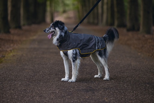 Image du produit Beeztees Manteau de pluie pour chien Seja (XL, Imperméable pour chien)