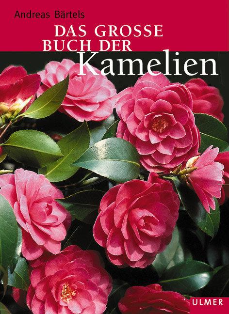 Produktbild Das grosse Buch der Kamelien (Deutsch, Andreas Bärtels, 2003)