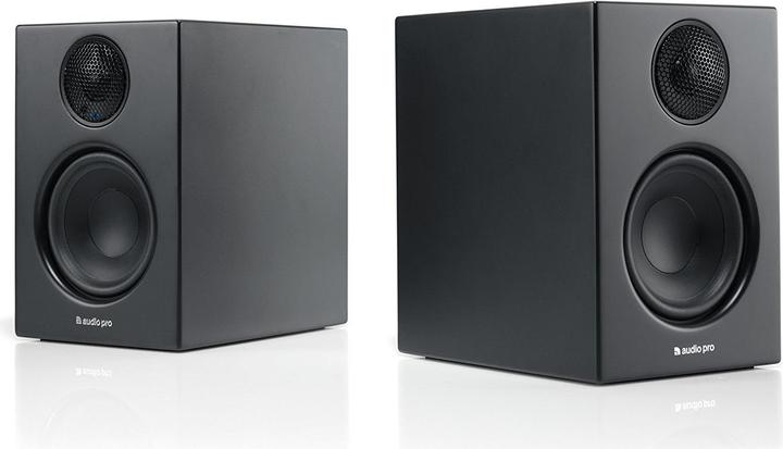 Audio Pro Addon T14 (1 pair, 100 W)