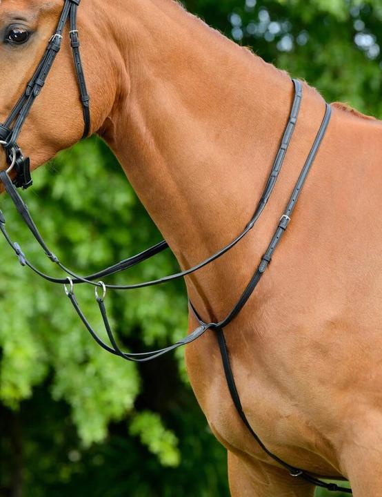 Image du produit Collegiate Comfitec Opulux