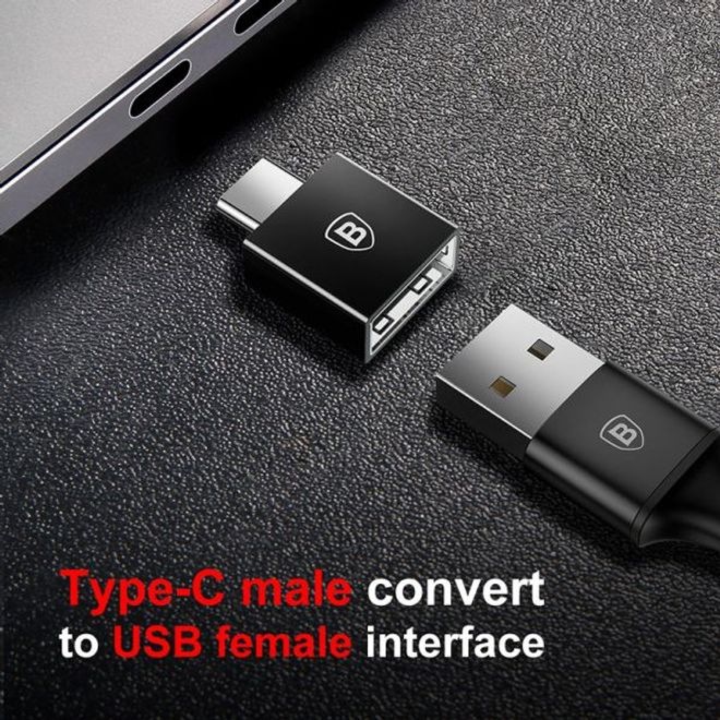 Actual product image Baseus Exquisite OTG (USB Type C, USB-A)