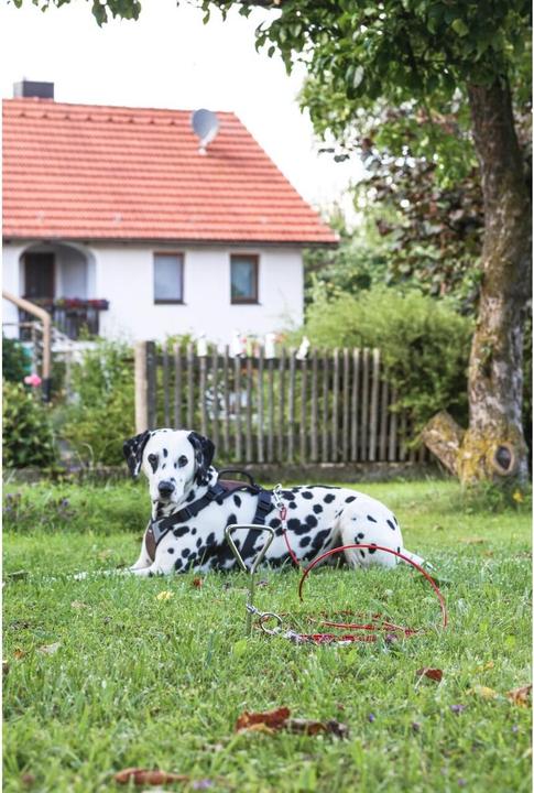 Produktbild Kerbl Anlegespirale (Erziehung)