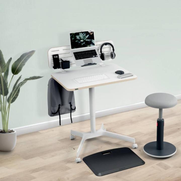 Actual product image Leitz Schreibtischorganizer Ergo