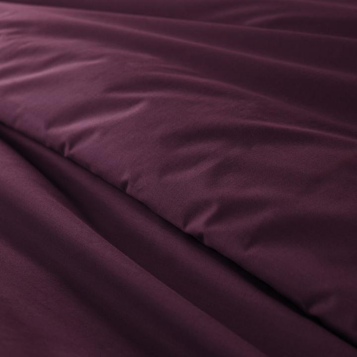 Image du produit La Redoute Interieurs Percale Bio (Housse de couette, 260 x 240 cm)
