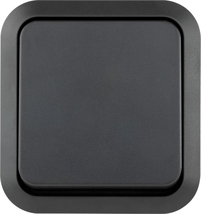 Actual product image REV Complete toggle switch AquaStorm Light grey, black 0004300400