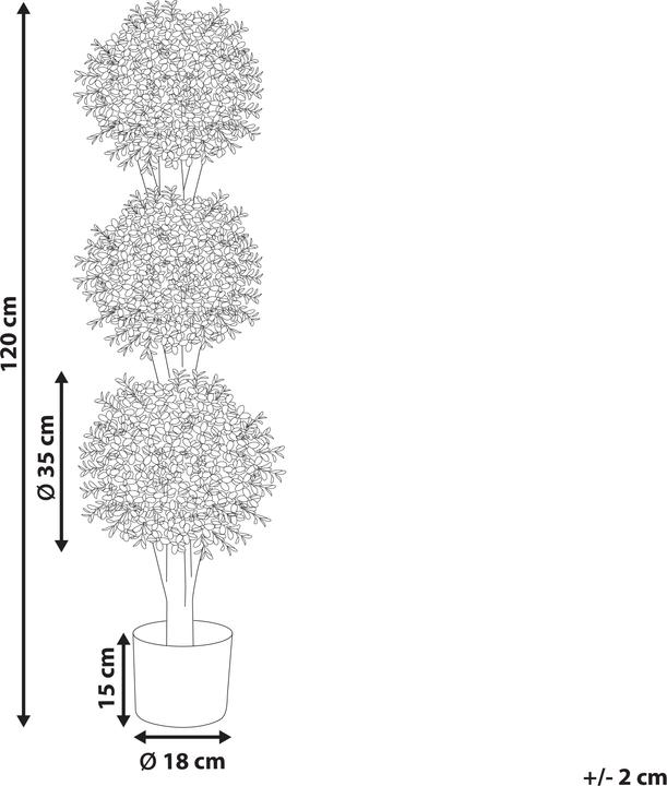 Immagine prodotto Beliani BUXUS BALL TREE (120 cm)