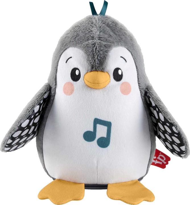 Fisher-Price Flatter & Wackel (20.32 cm)