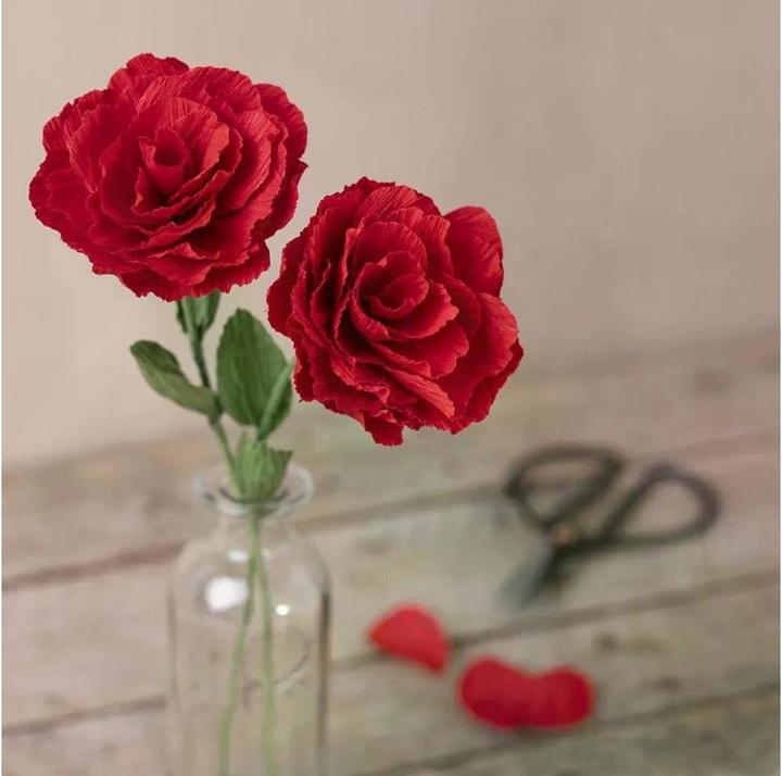 Actual product image Creativ Company Mini Craft Kit Crepe Paper (105 g/m², 1 x)