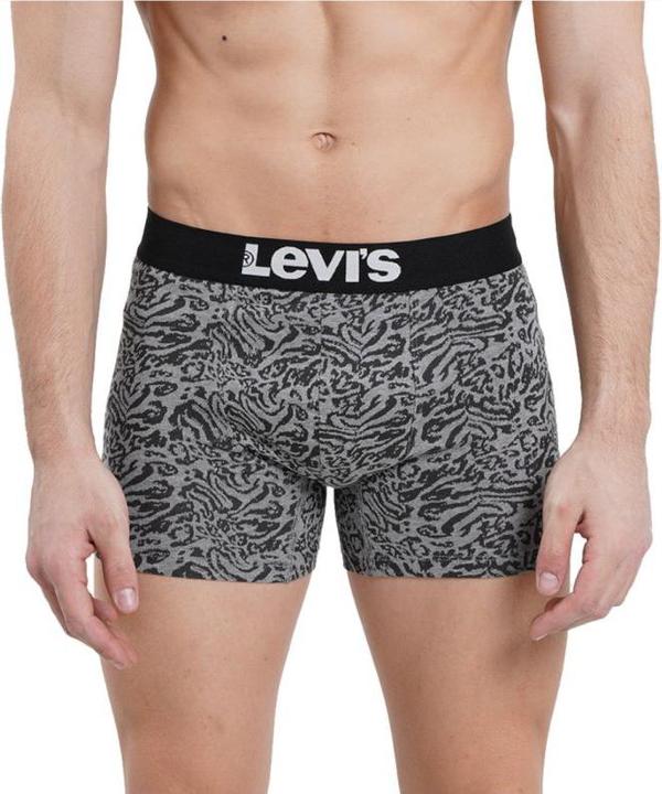 Actual product image Levis Boxer 2 Pairs Briefs 37149-0706 - S (S)