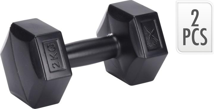 XQ Max Zement-Hantelset (2 x 2 kg)