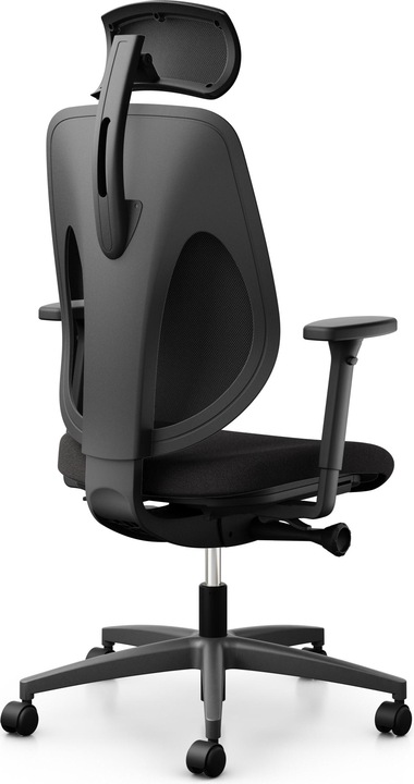 Actual product image Giroflex 353 Swivel chair