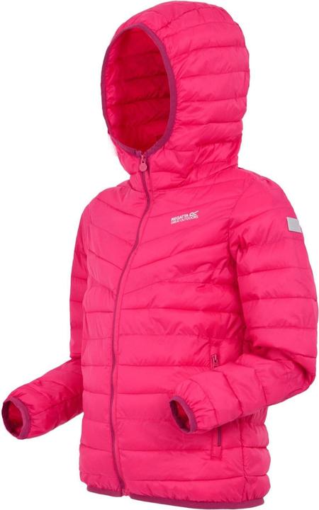 Produktbild Regatta Hillpack III Kapuzenjacke (170, 176)