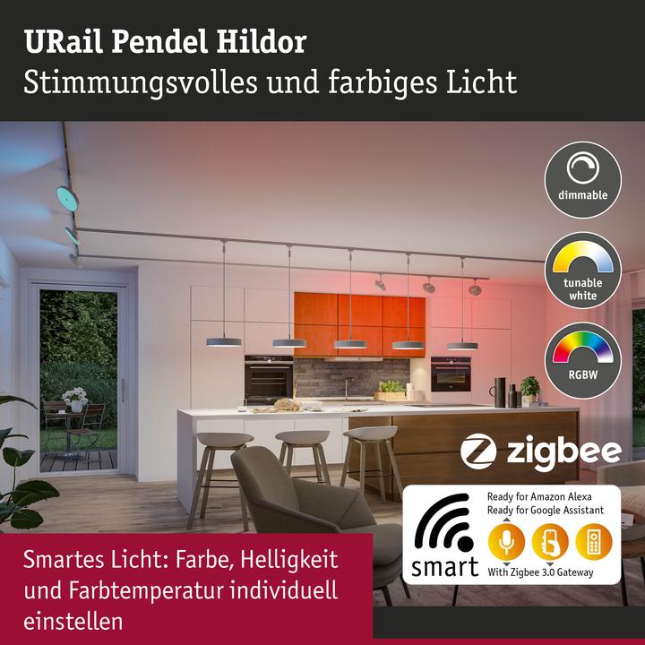 Image du produit Paulmann URail Pendel Hildor Zigbee (1050 lm)