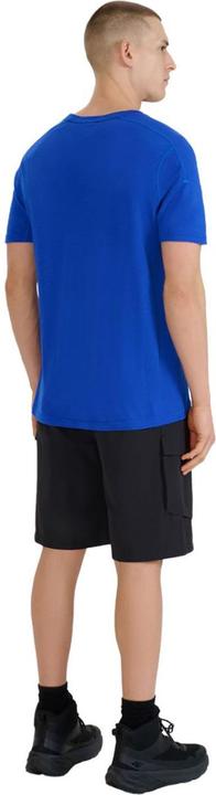 Produktbild 4F WSS25TSHOM527 Shorts (L)