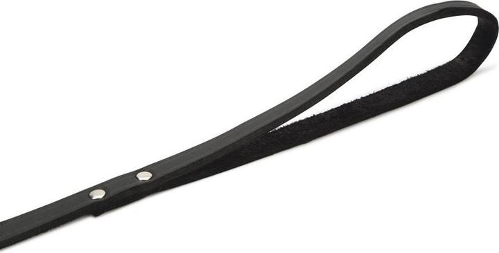 Actual product image Beeztees BZ LEATHER LEASH BLACK 165X12 (Dog, Dog sport)