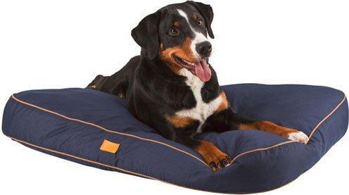 Image du produit Kerbl Jerome (Chat, Chien)