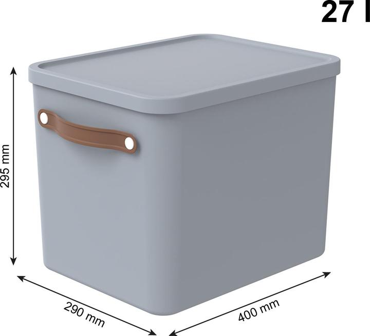 Immagine prodotto Rotho Scatola portaoggetti (27 l)