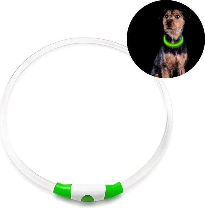 Hermex LED dog collar (Dog, General)