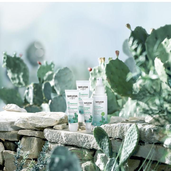 Produktbild Weleda Feigenkaktus Erfrischendes Feuchtigkeits-Augengel (Augenpflege Gel, 10 ml, Tag)