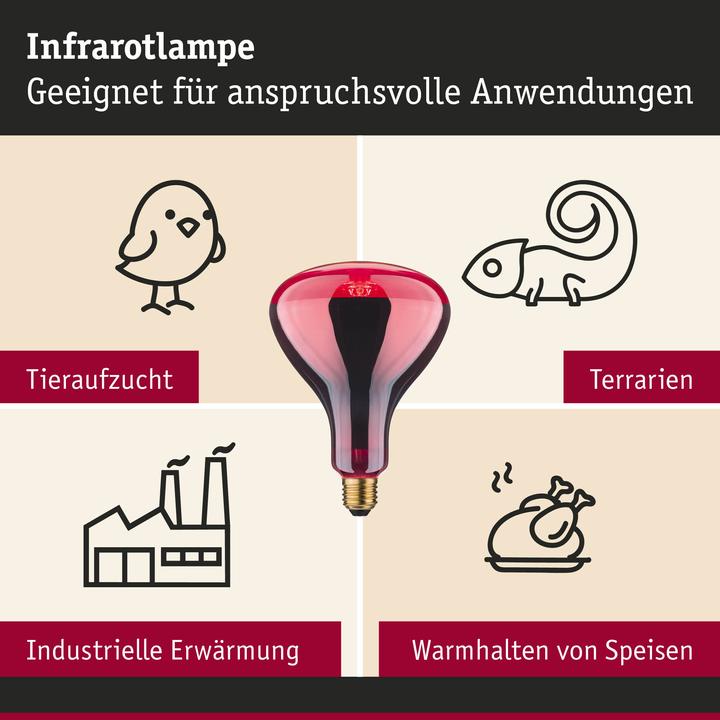 Actual product image Paulmann Reflektor Infrarot R125 (E27, 250 W, 110 lm, 1 x, G)