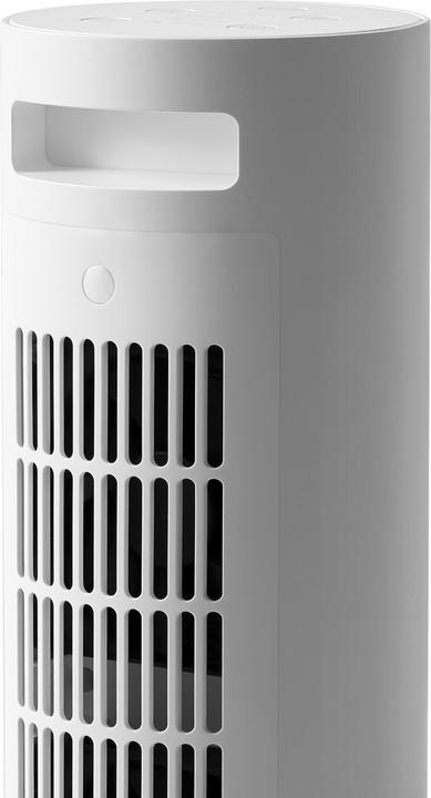 Actual product image Xiaomi Mi BHR6101EU (2000 W)