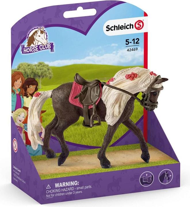 Image du produit Schleich Spectacle équestre Rocky Mountain Mare