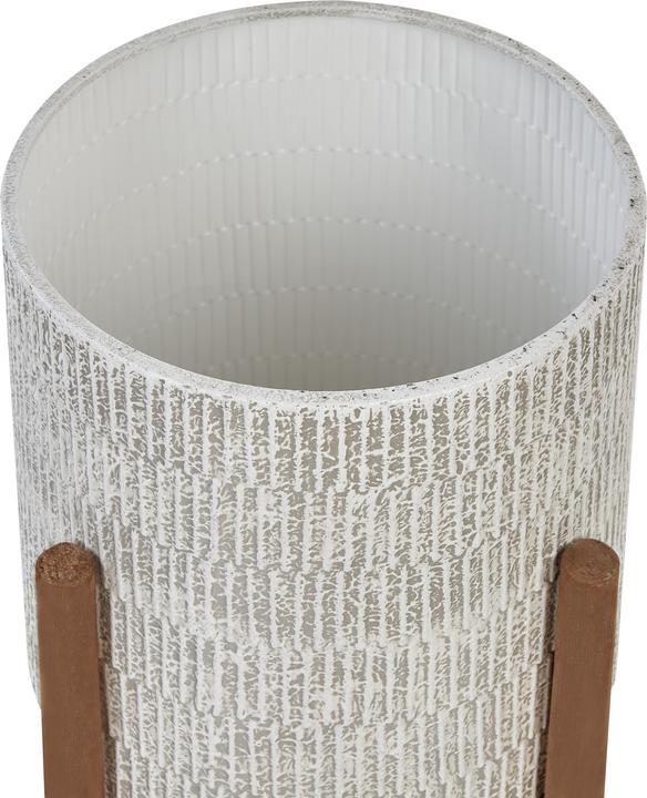 Produktbild Beliani Pinsapo (30 cm)