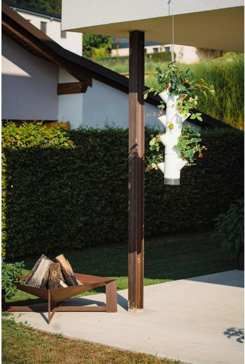 Immagine prodotto Gusta Garden Sissi Fragola (17 cm)