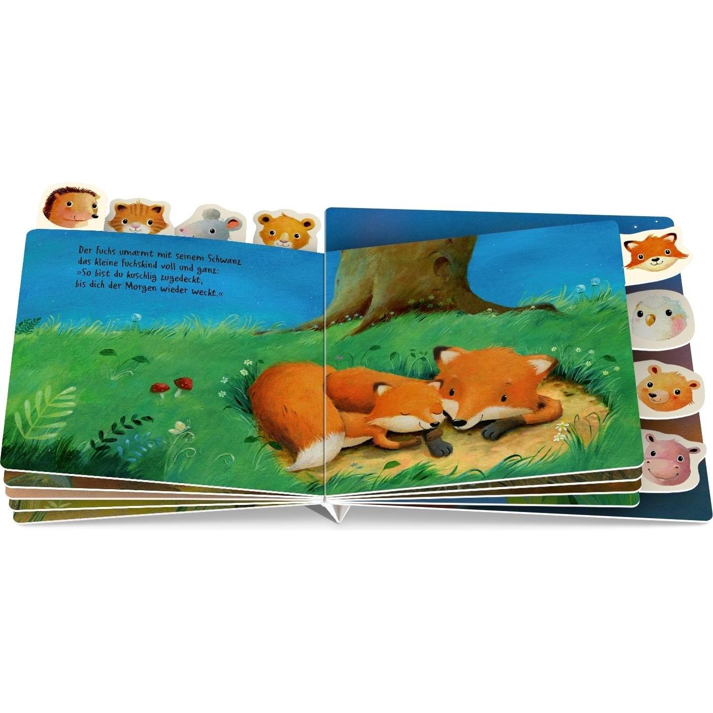 Thumbnail - Wie kleine Tierkinder schlafen gehen, Kinderbücher von Anne-Kristin zur Brügge, Marina Rachner