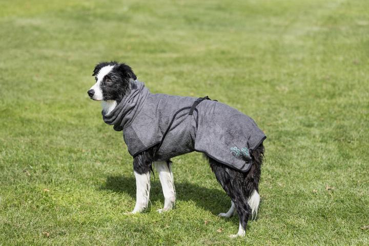Produktbild Trixie Bademantel Frotee (L, Hundebademantel)