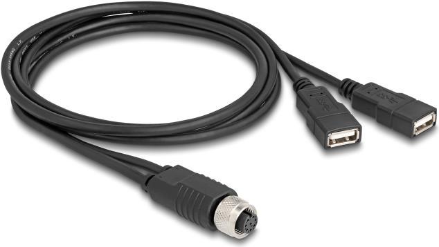 Image du produit Delock Câble M12 A-codé 8 broches femelle vers 2 x USB 2.0 type A (1 m, USB 2.0)
