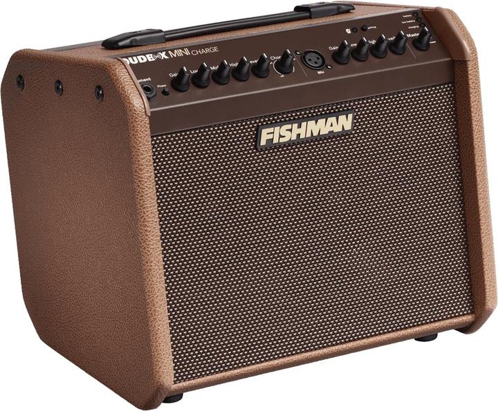 Fishman PRO-LBC-500 Loudbox Mini Charge portable audio amplifier with Bluetooth (Guitar, 60 W)