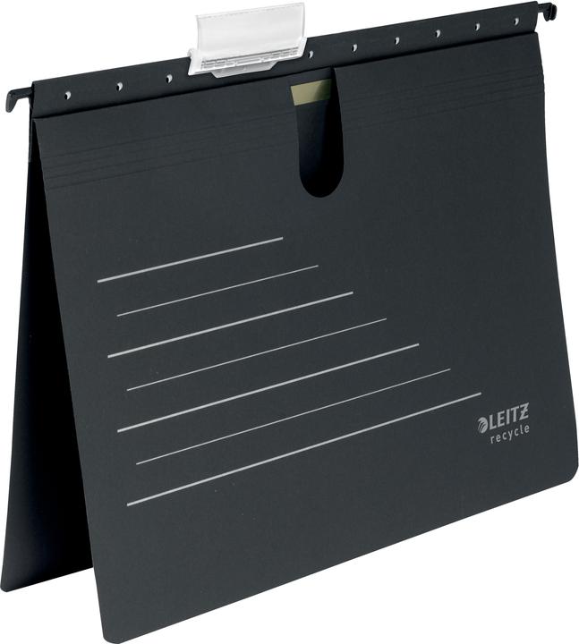 Actual product image Leitz RECYCLE - hanging file (A4, 1 x)