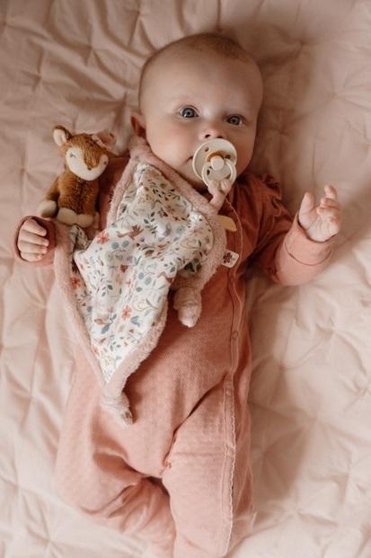 Actual product image Little Dutch Cuddle cloth deer Fairy Garden GRS