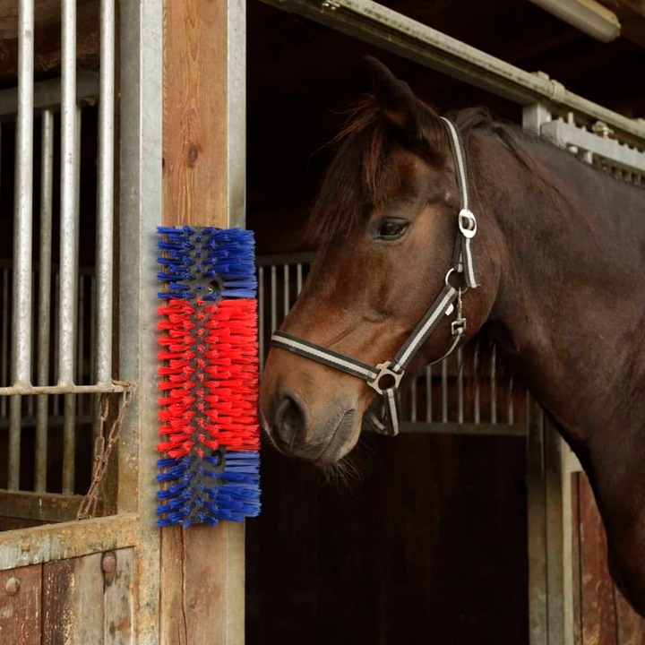 Actual product image Kerbl Scratching brush