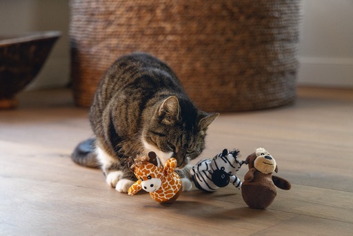 Productafbeelding Beeztees Dschungel Wobbler (Pluche speelgoed kat)
