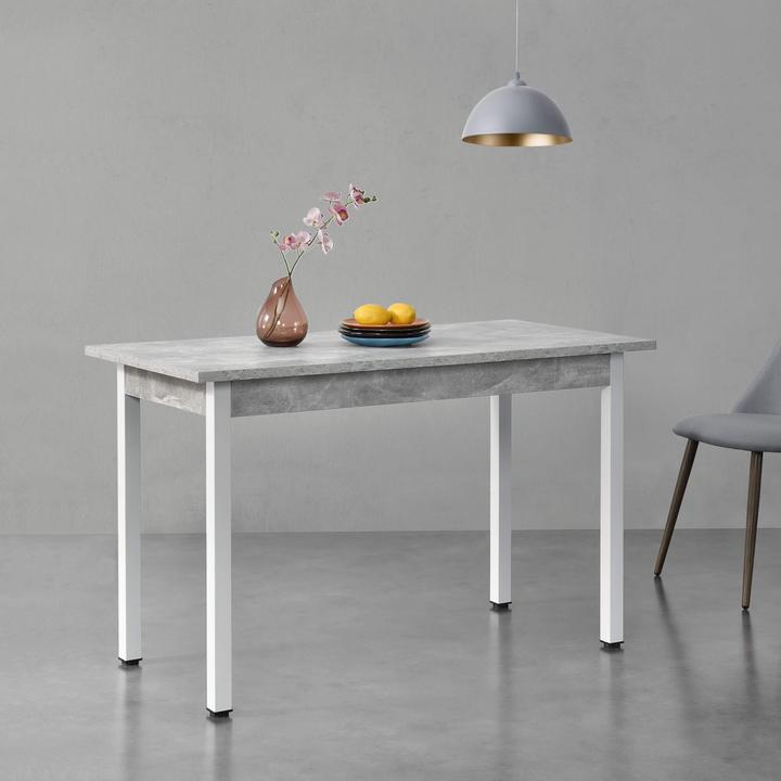 Image du produit En.Casa Vanola (120 x 60 x 75 cm)