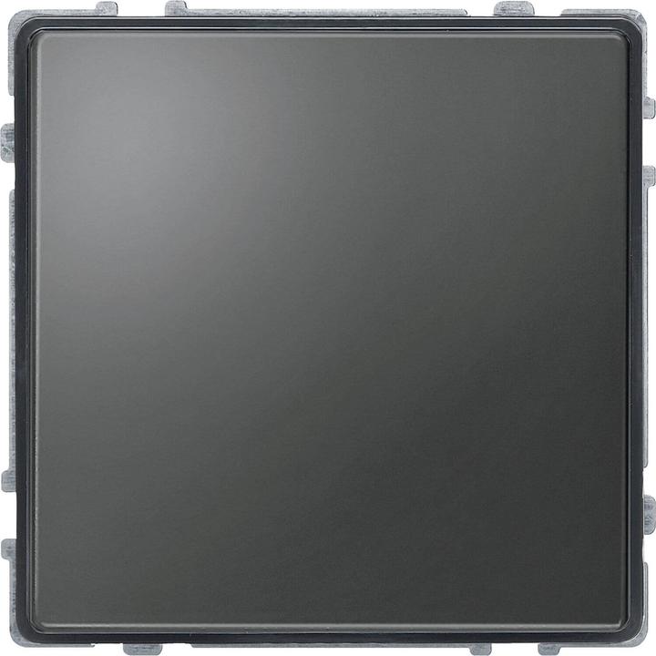 Actual product image Merten Switch series