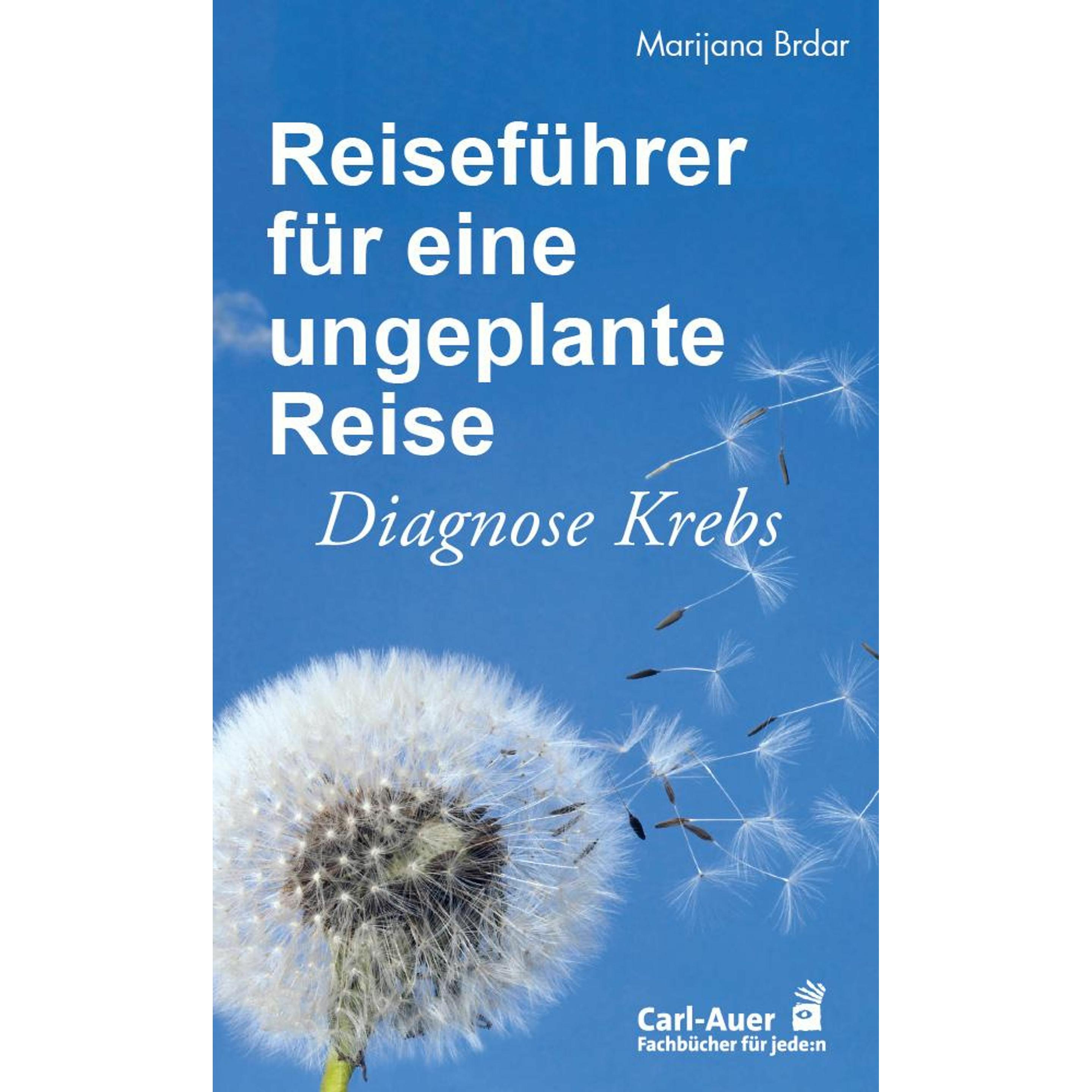 Reiseführer für eine ungeplante Reise, Ratgeber von Marijana Brdar
