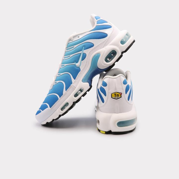 Image du produit Nike Air Max Plus (47.5)