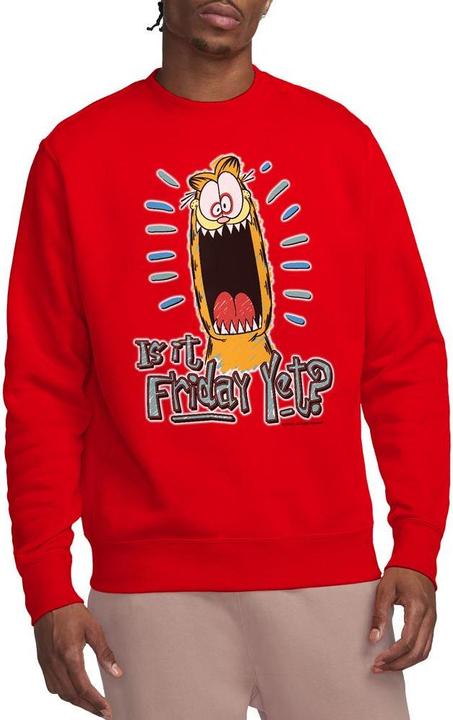 Actual product image Garfield Unisex Adult Friday Sweatshirt (L)