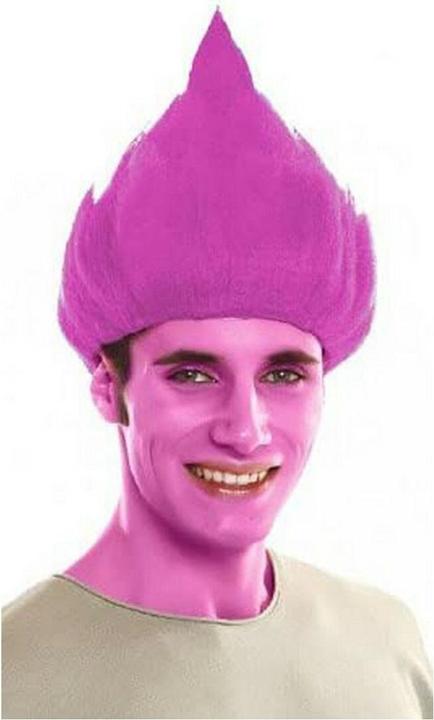 Produktbild My Other Me Perücke Einheitsgrösse Trolls