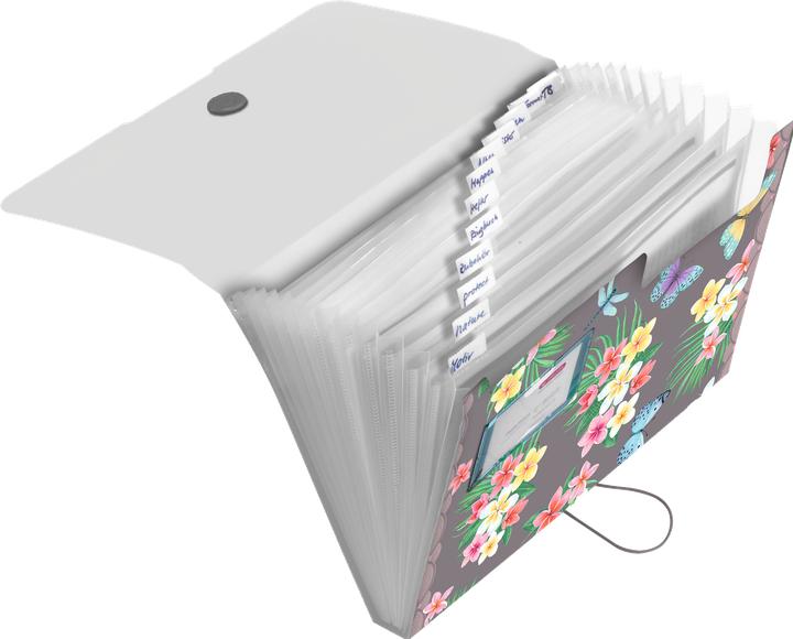 Immagine prodotto Herlitz Cartella PP 12F Ladylike Butrfl. (A4, 1 x)