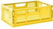 Actual product image 3 Sprouts Box (43 x 29 x 17 cm)