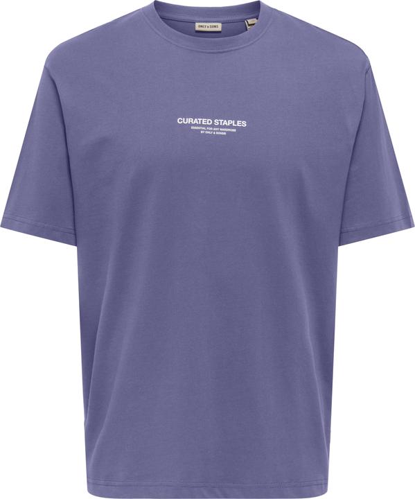 Produktbild Only & Sons Onscurated Rlx Print Ss Tee Noos (M)