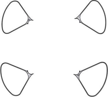 Produktbild DJI Phantom 4 Part 124 Propeller Guard (DJI Phantom 4 Pro)