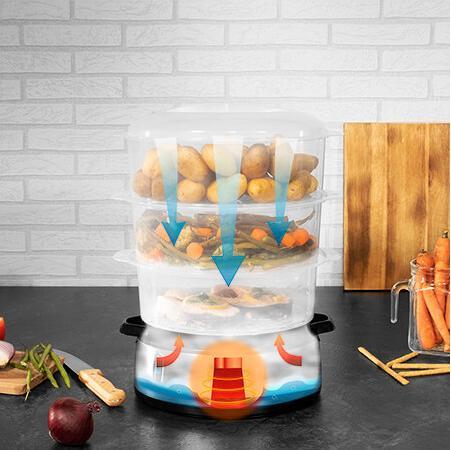 Actual product image Cecotec Electric steamer Vapovita 3000 INOX