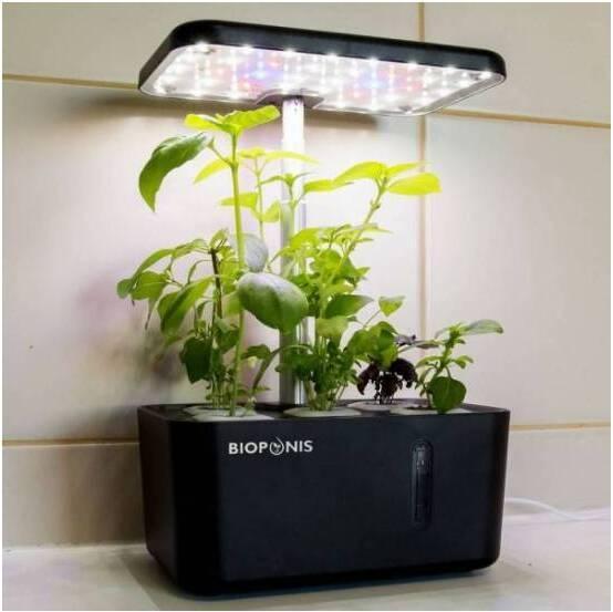 Produktbild Bioponis Eden