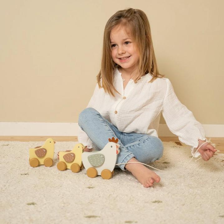 Immagine prodotto Little Dutch Pollo da tiro Little Farm FSC