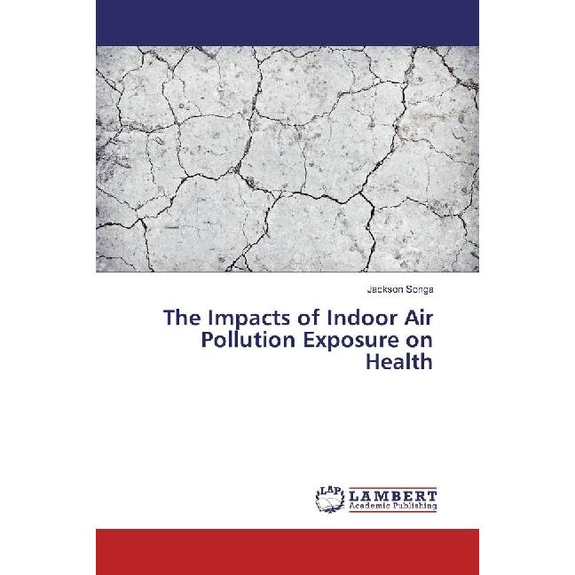 The Impacts of Indoor Air Pollution Exposure on Health, Fachbücher von Jackson Songa
